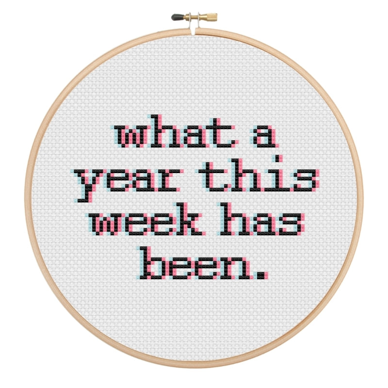 What A Year Cross Stitch Pattern