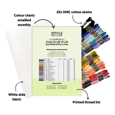 Colour Pop Stitch-a-Long PDF + SUPPLIES BUNDLE